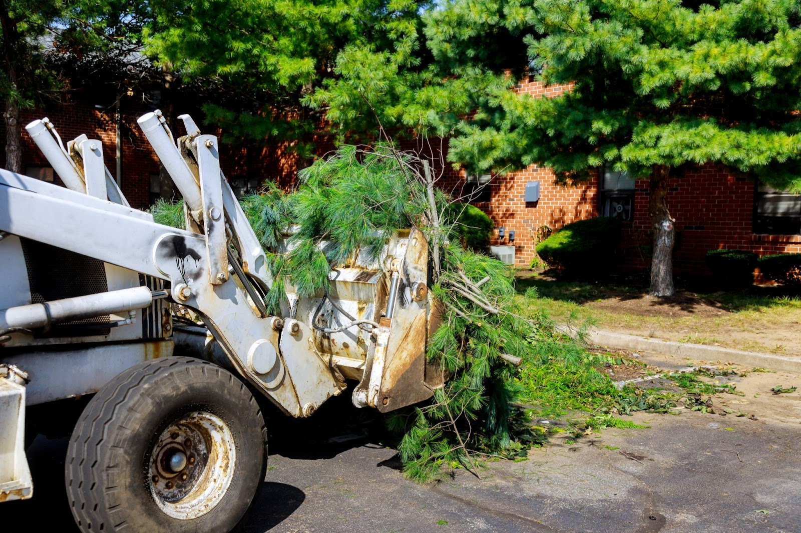Tractor hauling broken tree branches during landscape debris removal