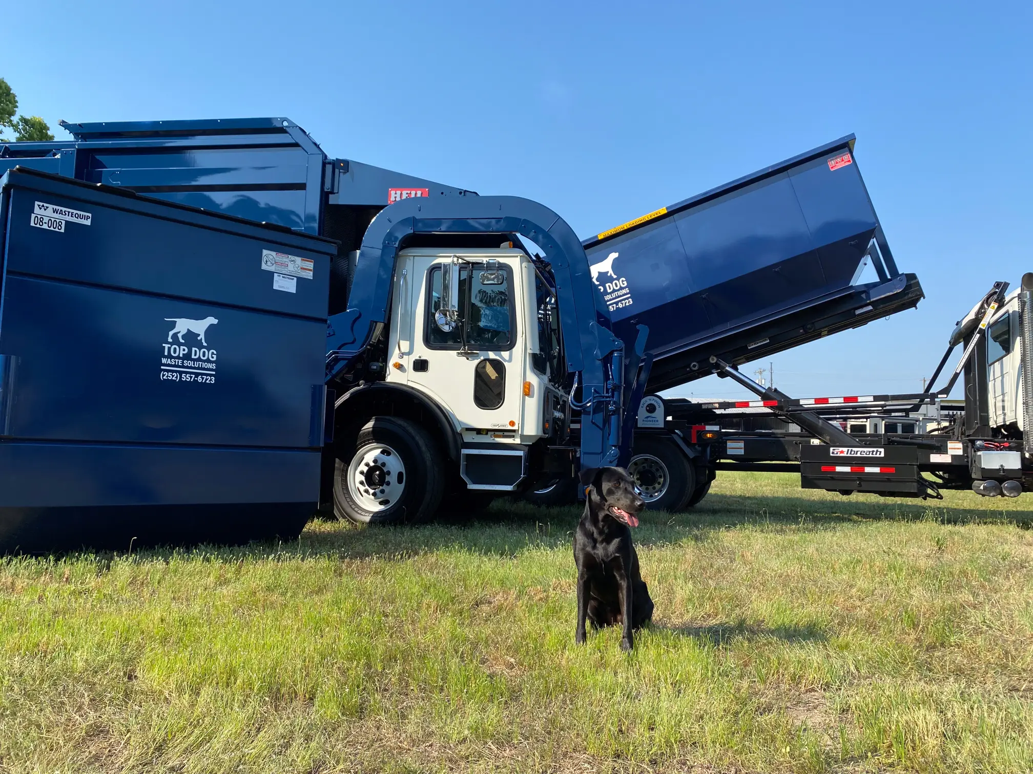 Top dog Waste Solutions trucks and large bin and black dog